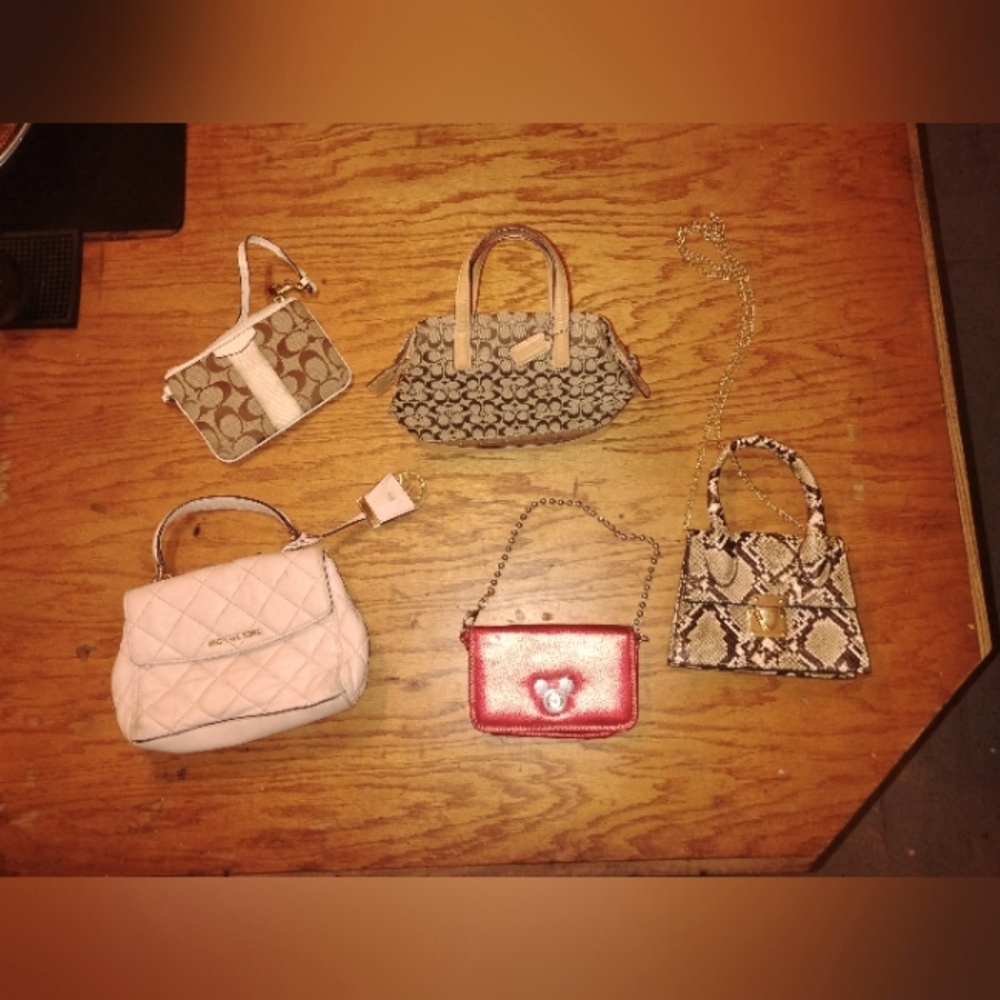 Purse lot